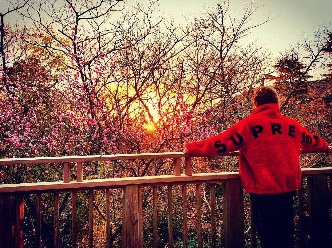 春木開さんのインスタグラム写真 - (春木開Instagram)「日本秘湯巡りの旅🇯🇵♨️🧖‍♀️ 強羅花壇の日の出綺麗だた☀️ ランク高い温泉教えてください🥰  #温泉 #箱根 #箱根温泉  #強羅 #強羅花壇  #温泉ソムリエ #日の出」1月24日 14時40分 - haruki.kai