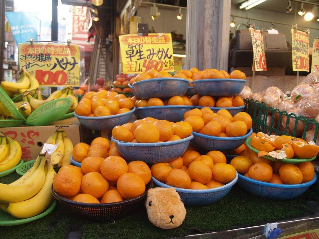 カピバラさんのインスタグラム：「みかんのおいしい季節ですね🍊  #カピバラさん #kapibarasan #水豚君 #カピバラさんと一緒」