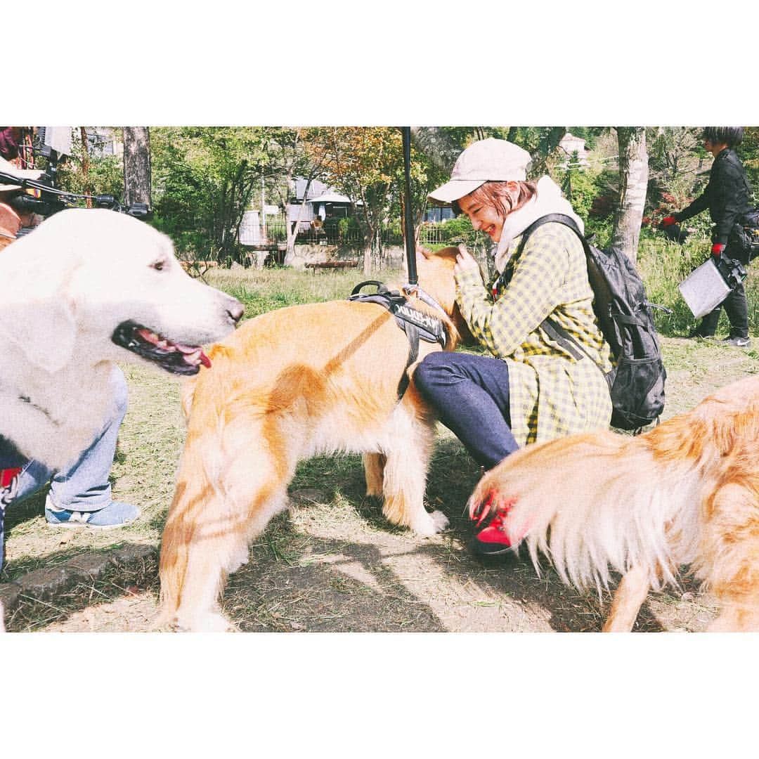 萩原みのりさんのインスタグラム写真 - (萩原みのりInstagram)「『I"s』特番明日放送。犬と戯れたりパン食べたりした。」1月24日 21時22分 - hagi_mino