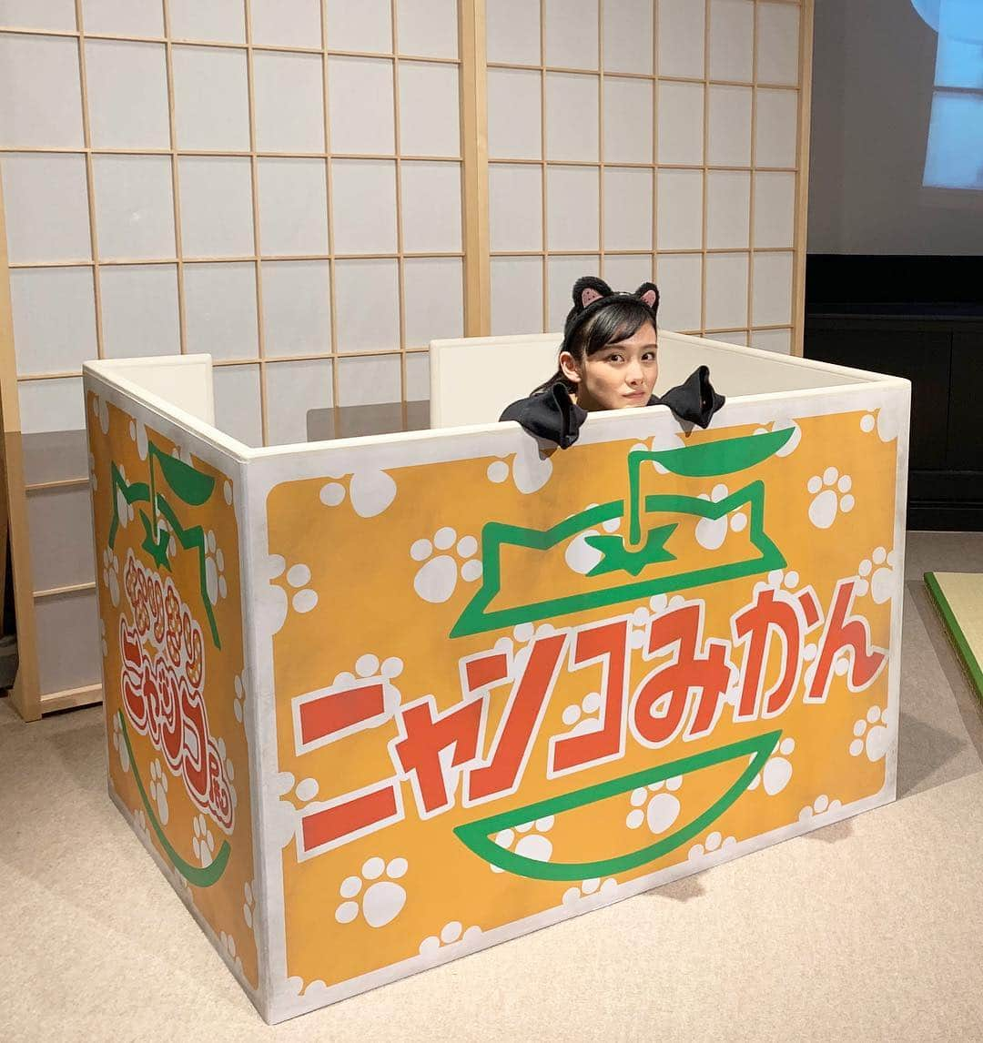 長谷川晴奈さんのインスタグラム写真 - (長谷川晴奈Instagram)「ニャンコみかん🐈🍊 #拾ってください #状態 #釣り #年齢的に #痛い #猫だよ #ひょっこりはん」1月24日 21時37分 - haruna_hasegawa71