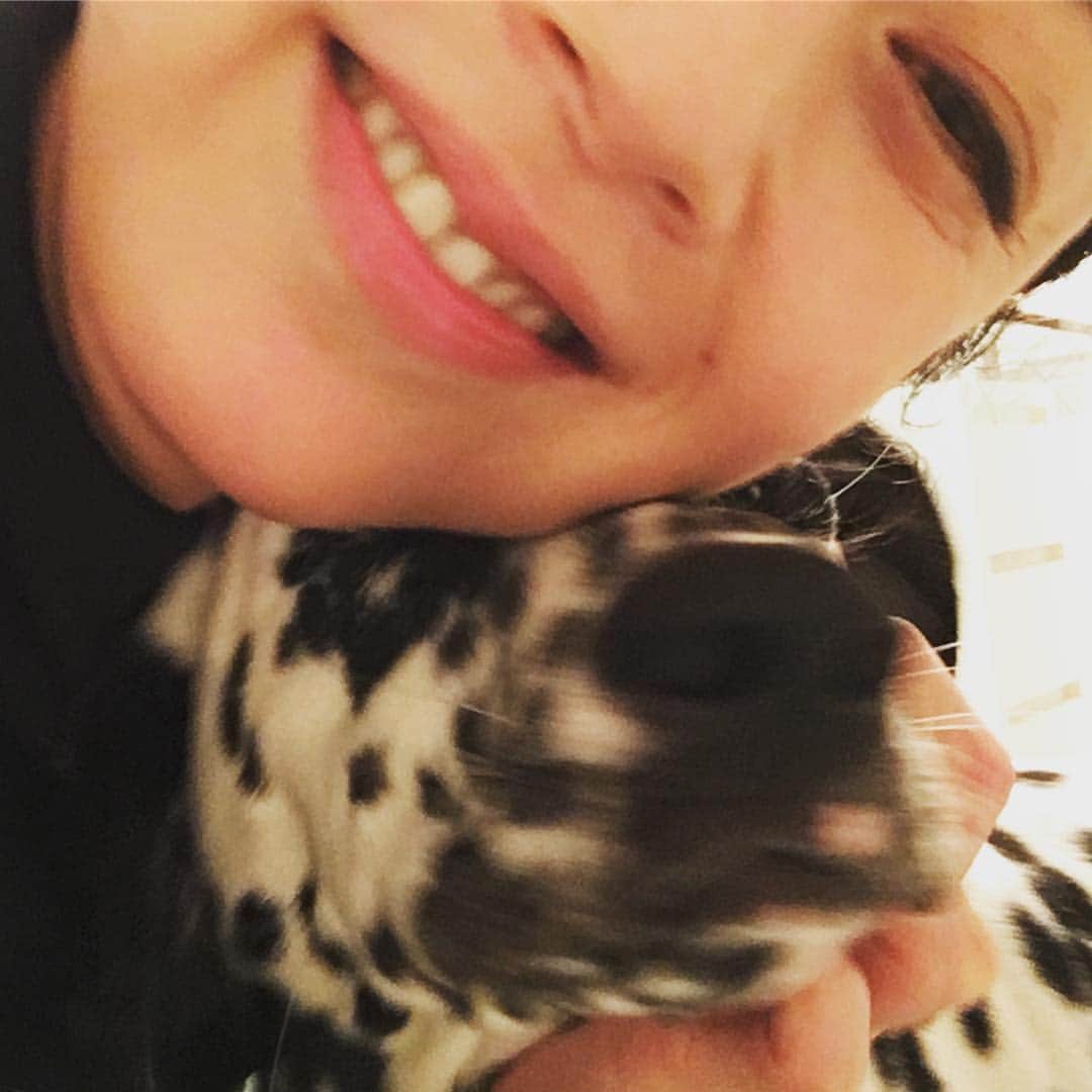 のインスタグラム：「私の大切な癒され時間。。 明日も頑張るよ！ #雪の華  #プラトーノフ #dalmatian」