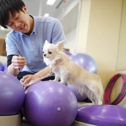 25ans SHOPのグルメインスタ