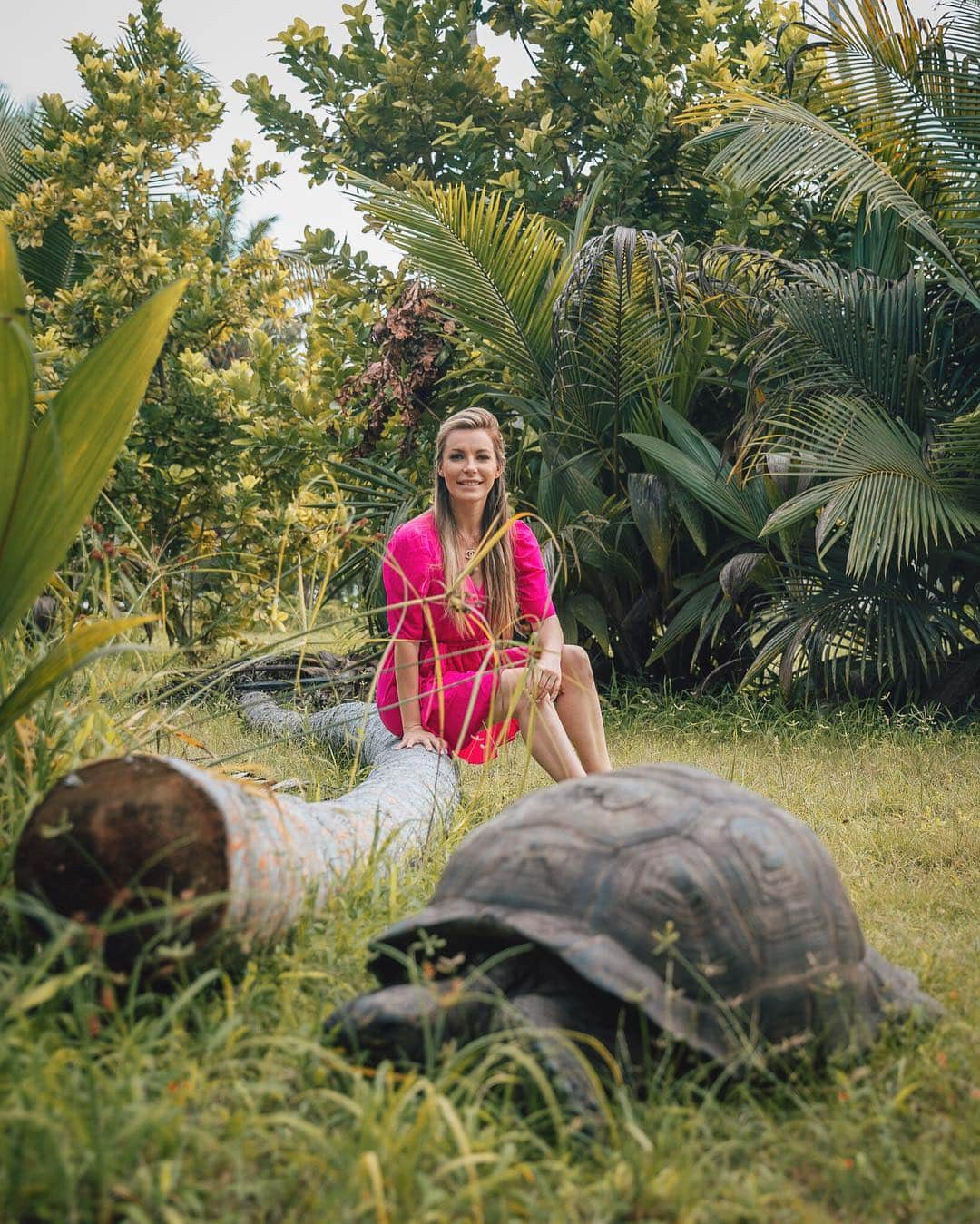 クリスタル・ハリスさんのインスタグラム写真 - (クリスタル・ハリスInstagram)「There are more tortoises on this island than people. That makes me happy. 🐢⁣ 📸 @sergiovellatti #alphonsemagic」1月25日 22時50分 - crystalhefner