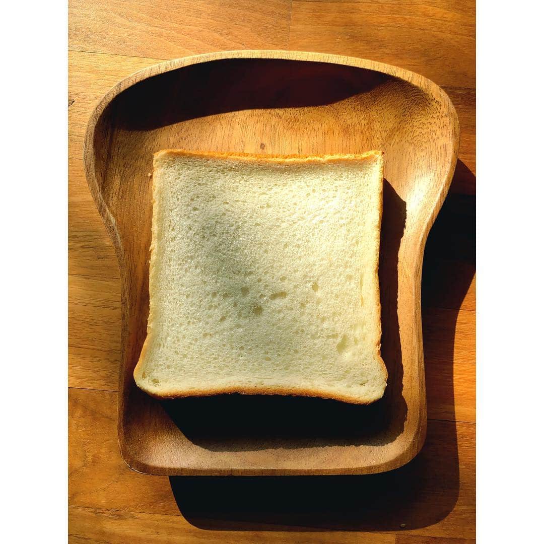 木南晴夏さんのインスタグラム写真 - (木南晴夏Instagram)「食パンをたくさんもらったので 贅沢食べ比べ🍞  #セイジアサクラ #一本堂  #葉山のパン屋さん(名前忘れちゃった)」1月25日 23時28分 - kinamitopan