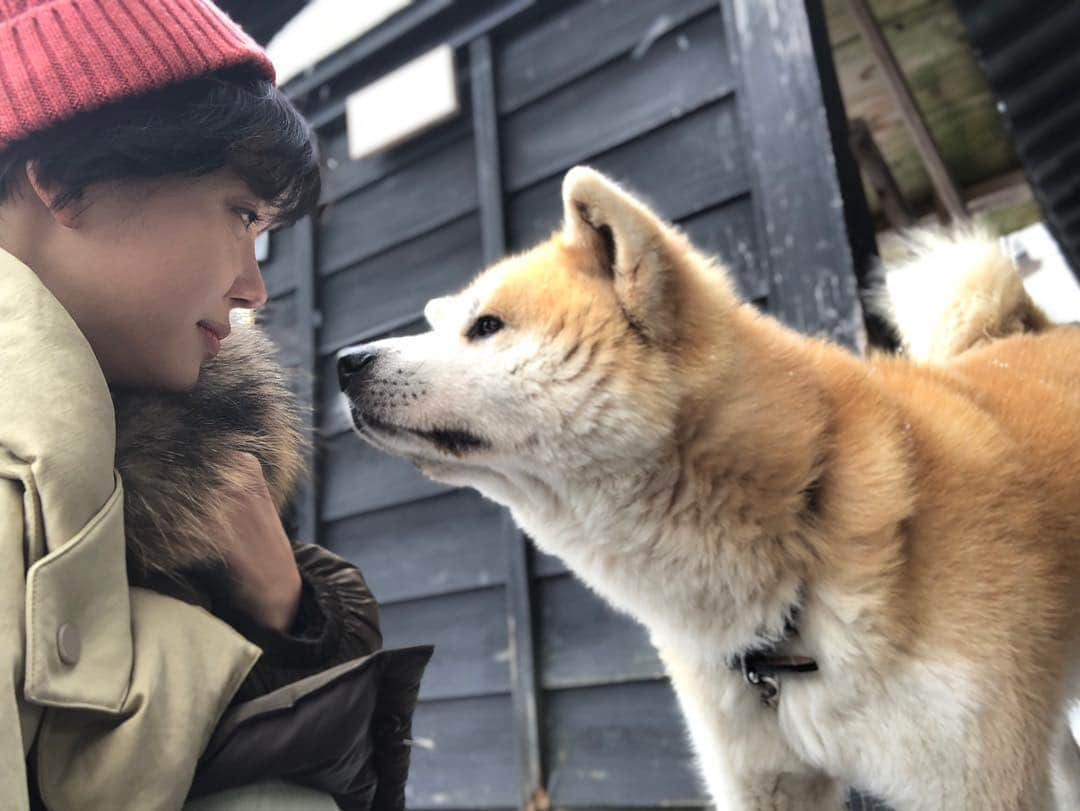 イム・セミさんのインスタグラム写真 - (イム・セミInstagram)「마루야 🐕🧡」1月25日 16時36分 - susemee