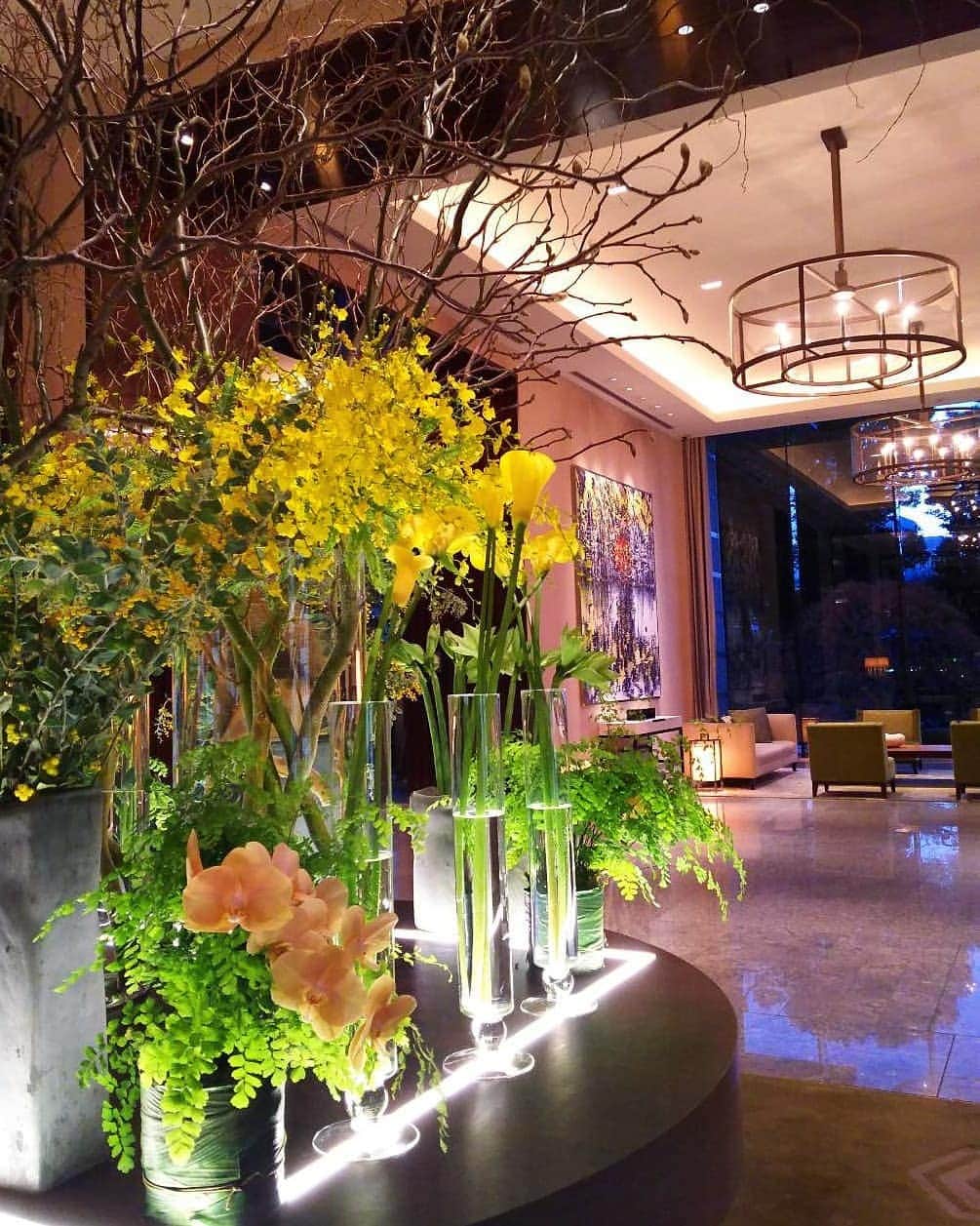 のインスタグラム：「今週末は東京も寒そうですね。ホテルのロビーでは明るいお花がお出迎え。A warm welcome by brilliant flowers in the lobby.  @Christian_Tortu #雲竜柳 #ミモザ #オンシジューム #アジアンタム #ロッティプリンス #ロビー装花 #ホテルロビー #自然との調和 #丸の内 #クリスチャントルチュ #パレスホテル東京 #CorkscrewWillow #Mimosa #ButterflyOrchid #MaidenhairFern #floralart #hotelflowers #hotellobby #lhwtraveler #Marunouchi #ChristianTortu #PalaceHotelTokyo」