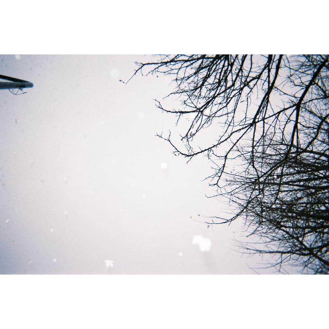 鈴木ゆうかさんのインスタグラム写真 - (鈴木ゆうかInstagram)「. . 北海道 ☃️ . 生まれて初めて雪の結晶を目でみた！ 雪の中の写ルンですかわいいンです . #寒すぎて鼻赤い  #北海道 #写真すごいあるからまた載せるね」1月25日 21時35分 - yuu_pl