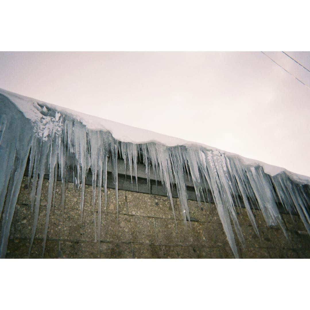 鈴木ゆうかさんのインスタグラム写真 - (鈴木ゆうかInstagram)「. . 北海道 ☃️ . 生まれて初めて雪の結晶を目でみた！ 雪の中の写ルンですかわいいンです . #寒すぎて鼻赤い  #北海道 #写真すごいあるからまた載せるね」1月25日 21時35分 - yuu_pl