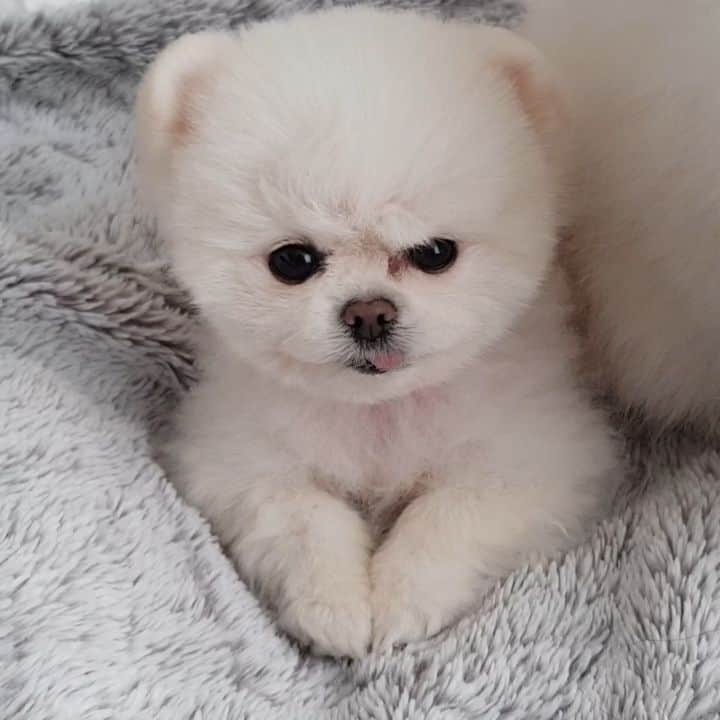 thesoy_yoonsoのインスタグラム