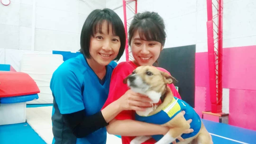 壽老麻衣さんのインスタグラム写真 - (壽老麻衣Instagram)「先日、TBS NEWS「わたしのヒトリゴト」のロケに行ってきました🍀  東京・板橋区にあるアクション＆アクロバットスタジオ「つばさ基地」で、生まれて初めて、バック転に挑戦してきましたよ！🤸 スタジオの看板犬コマチちゃんがずっとロケの様子を見守ってくれていました🐶✨ きょう、あすの１０：５０～、１５：５０～、１８：５０～、２３：５０～に放送予定です。  ぜひご覧くださいね☺️ 📺 📺 📺 #ロケ #バック転 #初挑戦 #体操 #東京 #板橋区 #つばさ基地 #看板犬」1月26日 5時46分 - maijuro