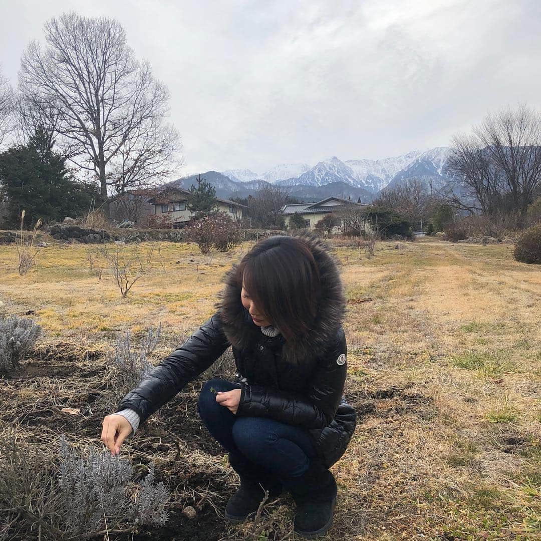 宮崎宣子のインスタグラム