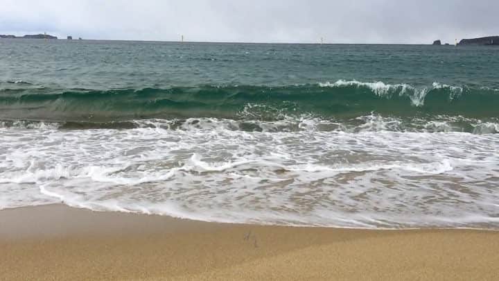 のインスタグラム：「雪の白浜。寒過ぎ晋作…。」
