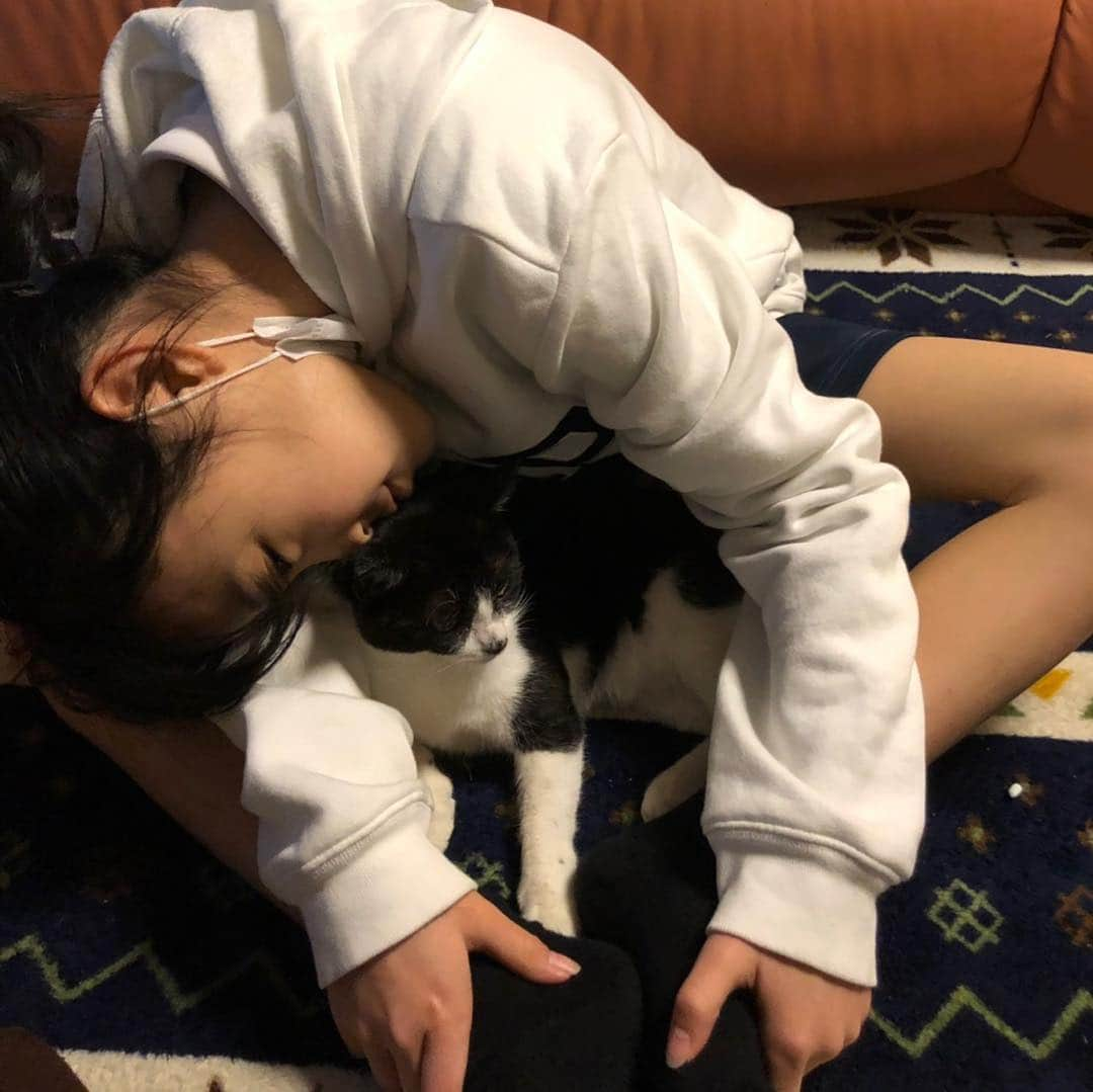 Hinataさんのインスタグラム写真 - (HinataInstagram)「. . 帰ってくるとすぐに甘えてくるSun😽💓💓 そんなとこが可愛い過ぎる😍 . 学校とかお仕事で疲れて帰って来ても めっちゃ元気くれる🌻🌻 . あっ💡 Sunもカメラ目線😆👏👏 . たまにはゲームはせずにSunとKikiと遊ぼ〜っと😘 . . #クラージュキッズ  #野々山ひなた  #Hinata #TikTok #YouTube #Twitter #Hinataぼっこ #フォローしてね #チャンネル登録してね #猫好き #名前はSunとKiki #Sunのカメラ目線 #インフル注意 #手洗いうがいマスク #みんなも気をつけてね」1月26日 15時10分 - hinachosugram