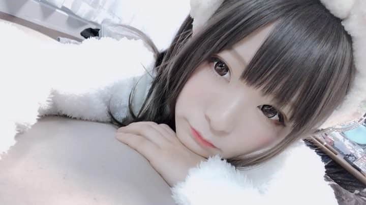茉夏