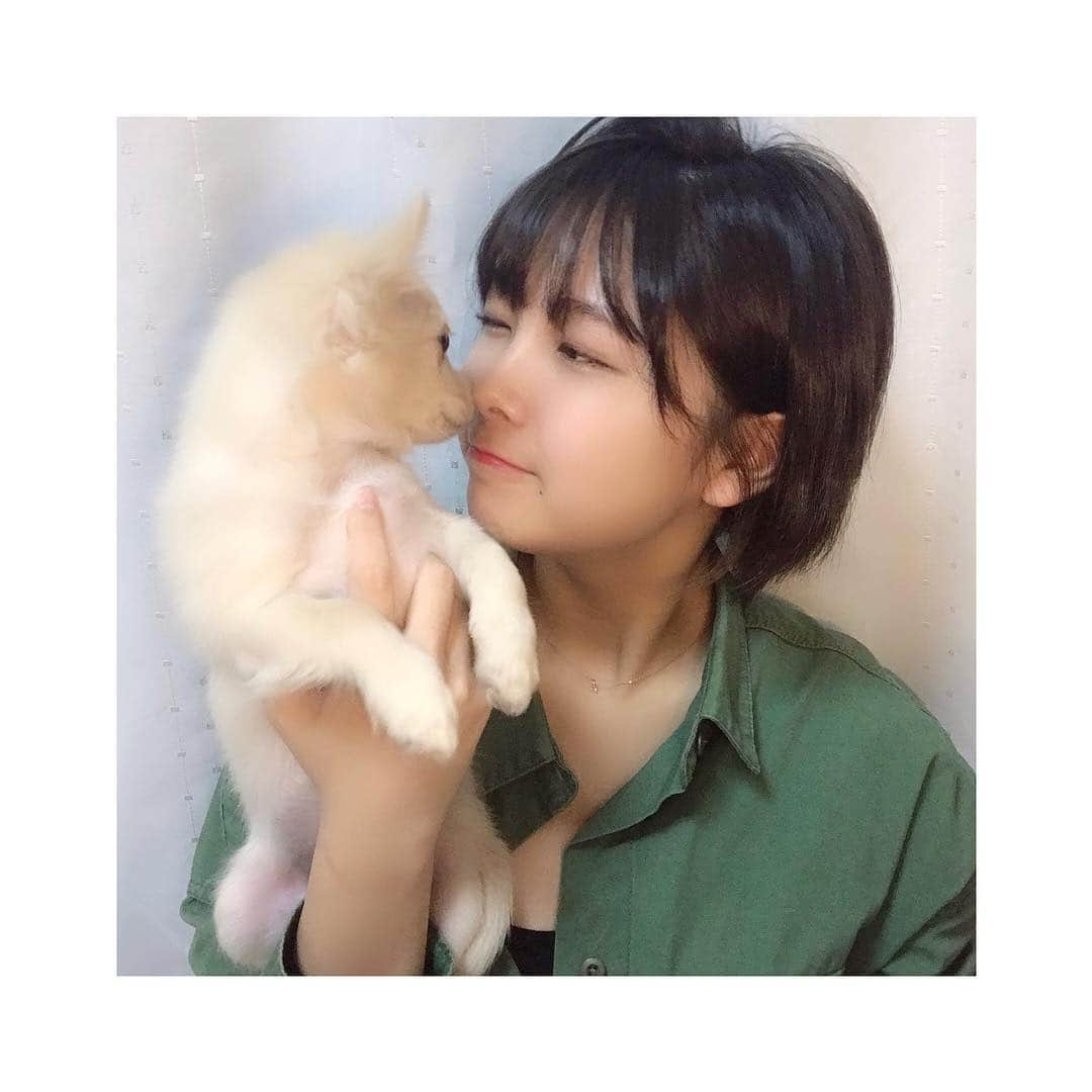 寺本莉緒さんのインスタグラム写真 - (寺本莉緒Instagram)「ううう、愛おしい🥺  #愛犬 #チワパピ #ラクくん」1月26日 19時58分 - lespros_rio