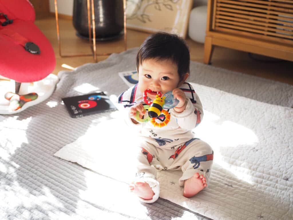 HALCALIのインスタグラム：「生後7ヶ月👏🏻一人座りも安定して、遠くのオモチャを取るために必死にずり這いと寝返りを駆使して移動するようになった(しかも割と早い)😳気に入らないことがあるとヒャーって怒ったりするようにもなった🤯自分がやりたいことがあるってすごい成長だね〜😳✨特に麦茶入りのスパウトマグがお気に入りで、奪うと怒る😂日々楽しませてくれてありがとう☺️ #生後7ヶ月 #6月生まれベビー」