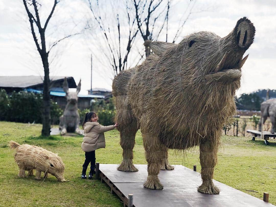 森本あやかのインスタグラム