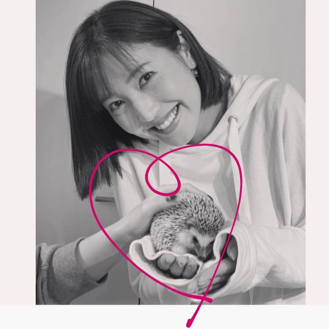 小澤陽子さんのインスタグラム写真 - (小澤陽子Instagram)「in private❁  友人が飼いはじめた、JERRYくんと初対面🦔💓 なんと、彼のインスタアカウントも…！笑 ➫ @justjerry92 🦔🦔🦔 可愛すぎて癒し…🥰 . .  どうやら、私の腕のすき間のスロープが好きなよう🧐 次目指すは、くるんぽん🙆🏼‍♀️. . #ジュエリーボックス💎ならぬ #ジェリーボックス を作ってもらって #幸せに暮らしています♥︎ #hedgehog #はりねずみ #🦔 #JerryOfTheDay #OOTD ではなく #JOTD #くるんぽん」1月27日 9時44分 - yoko.ozawa729