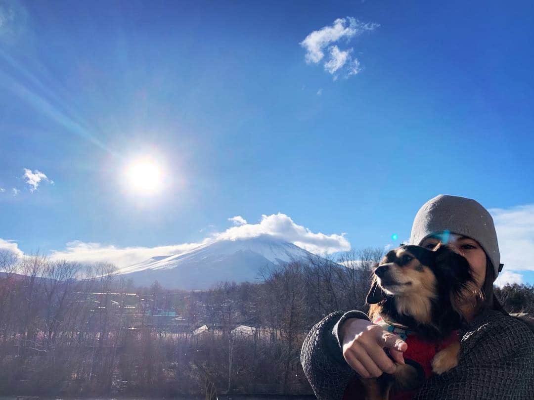 小柳ゆきのインスタグラム：「お誕生日おめでとうコメント&応援メッセージありがとうございます✨ とっても嬉しいです‼️ . 37歳戌年厄終わり笑笑、20周年の2019年を駆け抜けていこうと思います‼️ . . 皆様これからもよろしくお願い致します😊 . . #誕生日 #戌年 #犬 #dog #チワックス #厄終わり #感謝です」