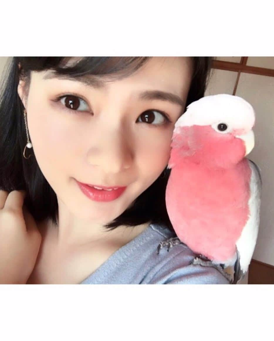 星名美津紀さんのインスタグラム写真 - (星名美津紀Instagram)「「有吉反省会」見てくれた皆様ありがとうございました🐤❤️ インコとの2ショット集めてみた🐤」1月27日 21時51分 - hoshina_mizuki