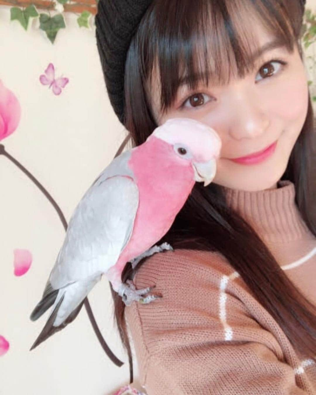 星名美津紀さんのインスタグラム写真 - (星名美津紀Instagram)「「有吉反省会」見てくれた皆様ありがとうございました🐤❤️ インコとの2ショット集めてみた🐤」1月27日 21時51分 - hoshina_mizuki