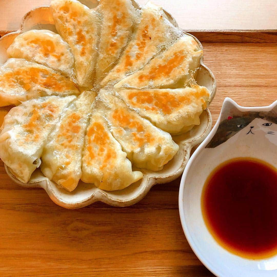 佳村はるかのインスタグラム：「羽根つきも好き🥟 . . キャベツ4分の1で作ると 2日で餃子のタネを全て使い切れることに気がついた💡⋆︎* . . . #羽根つき餃子 #お皿にのせる時に散った羽もいました #ごま油 #2日目の餃子 #おうちごはん」