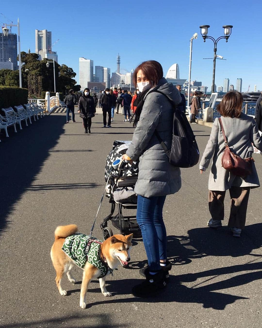 高橋みゆきさんのインスタグラム写真 - (高橋みゆきInstagram)「今日はみんなで中華街行って🍖公園散歩したよ🐶👶👨👩結構歩いた💨 #中華街 #中華食べたくて #山下公園 #赤れんが #寒い中アイス食べた🍨 #クラ吉は膝の上の定位置 #何年ぶりか中華街 #天気は良かった」1月27日 20時45分 - shin_miyukichi