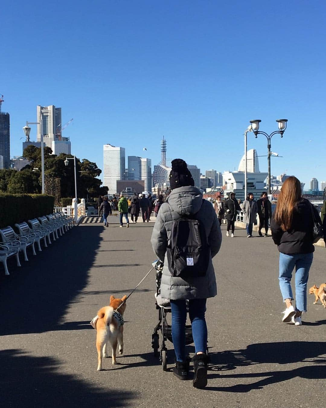 高橋みゆきさんのインスタグラム写真 - (高橋みゆきInstagram)「今日はみんなで中華街行って🍖公園散歩したよ🐶👶👨👩結構歩いた💨 #中華街 #中華食べたくて #山下公園 #赤れんが #寒い中アイス食べた🍨 #クラ吉は膝の上の定位置 #何年ぶりか中華街 #天気は良かった」1月27日 20時45分 - shin_miyukichi