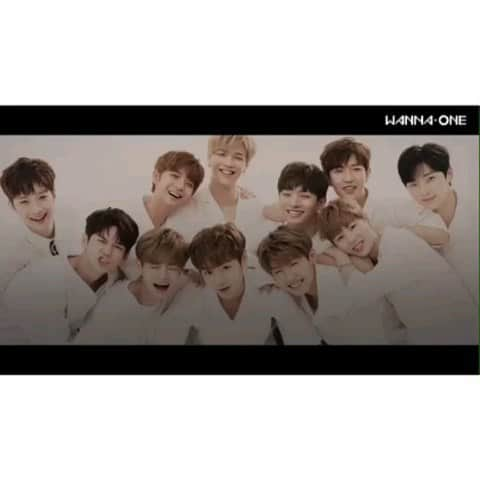 Wanna Oneのインスタグラム：「512 Days of Wanna One  봄날의 우리를 잊지 않을게요 . #WannaOne #워너원 #KangDaniel #KimJaeHwan #LaiKuanLin #ParkWooJin #ParkJiHoon #BaeJinYoung #OngSeongWu #YoonJiSung #LeeDaeHwi #HaSungWoon #HwangMinHyun」