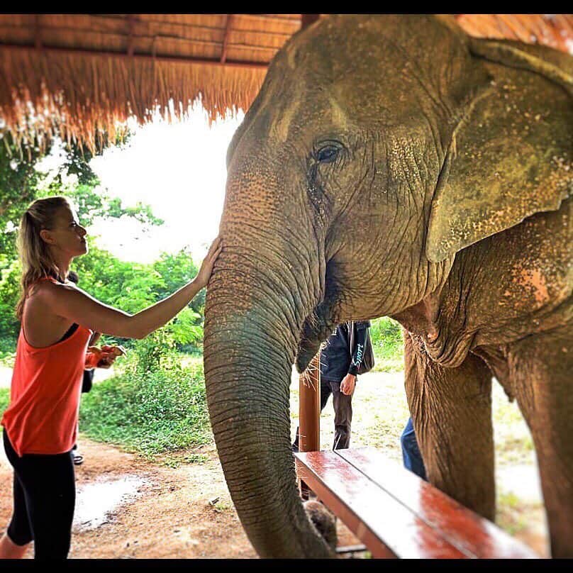 サッシャ・ジャクソンさんのインスタグラム写真 - (サッシャ・ジャクソンInstagram)「Thank you @samuielephantsanctuary for your incredible work in saving/protecting/loving these enormous, gentle spirits. Such a life changing experience that I struggle to find the words. The connection and love between the wonderful staff/carers at this ethical and respectful sanctuary is undeniable. . . We laughed and laughed together and met some awesome people to share the journey with. . . Horrifying to hear the awful history/present of so many elephants tortured by the tourist attractions (despite the “we’re humane here” protests... 😢) and to be reminded that the main predator of these beautiful giants in the wild... IS HUMANS. They say “elephants never forget” well, I hope these and so many others learn to and just live the rest of their lives with happy and loving memories instead of painful ones. And, as reiterated time and time again, I hope we can all always remember that the only way to change the abuse of these sensitive and stunningly intelligent souls is to change the way tourists/humans think of/interact with them. I feel so so lucky to have experienced this and cannot wait to come back again. Thank you beyond words SAMUI ELEPHANT SANCTUARY ANGELS https://www.samuielephantsanctuary.org  xox 🙏🏻🥰🐘🐘🥰😍🐘🥰😍🙏🏻👏🏼 . . VIDEO AT THE END 🐘🎥🎞🥰 . . #amazing #elephant #elephants #savetheelephants #bekind #lifechanging #experience #thailand #kohsamui #awesome #spirit #truth #animals #nature #gift #wild #safe #protect #world #peace #gratitude #knowledge #forward #love and #change」1月28日 19時17分 - thesashajackson