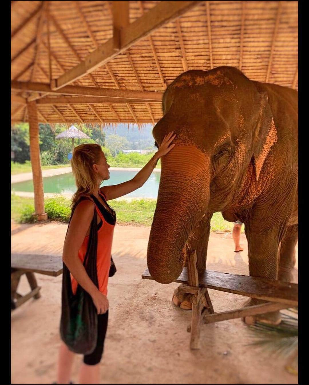 サッシャ・ジャクソンのインスタグラム：「Thank you @samuielephantsanctuary for your incredible work in saving/protecting/loving these enormous, gentle spirits. Such a life changing experience that I struggle to find the words. The connection and love between the wonderful staff/carers at this ethical and respectful sanctuary is undeniable. . . We laughed and laughed together and met some awesome people to share the journey with. . . Horrifying to hear the awful history/present of so many elephants tortured by the tourist attractions (despite the “we’re humane here” protests... 😢) and to be reminded that the main predator of these beautiful giants in the wild... IS HUMANS. They say “elephants never forget” well, I hope these and so many others learn to and just live the rest of their lives with happy and loving memories instead of painful ones. And, as reiterated time and time again, I hope we can all always remember that the only way to change the abuse of these sensitive and stunningly intelligent souls is to change the way tourists/humans think of/interact with them. I feel so so lucky to have experienced this and cannot wait to come back again. Thank you beyond words SAMUI ELEPHANT SANCTUARY ANGELS https://www.samuielephantsanctuary.org  xox 🙏🏻🥰🐘🐘🥰😍🐘🥰😍🙏🏻👏🏼 . . VIDEO AT THE END 🐘🎥🎞🥰 . . #amazing #elephant #elephants #savetheelephants #bekind #lifechanging #experience #thailand #kohsamui #awesome #spirit #truth #animals #nature #gift #wild #safe #protect #world #peace #gratitude #knowledge #forward #love and #change」