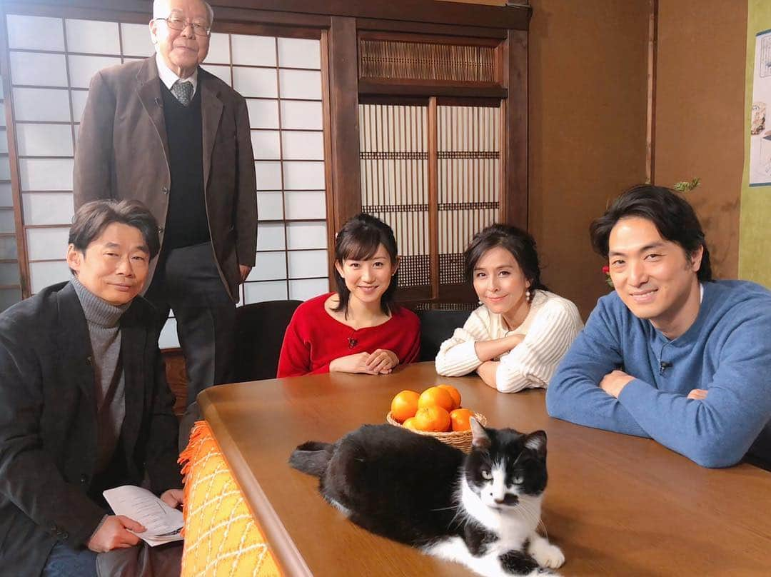 佐々木瞳さんのインスタグラム写真 - (佐々木瞳Instagram)「【出演中❣NHK Eテレ 「趣味どきっ！」不思議な猫世界】 ・ 今夜は「#不思議な猫世界 」の最終回🐈 私は、#MC として出演中です😽 ・ 第8回は「#路上猫観察のススメ 」🐈 http://www.nhk.or.jp/syumidoki/syumidoki-mon/index.html 最終回は#路上の猫 を観察。#猫の柄 はいろいろあるが、路上に多いのはどの柄か？猫の柄によって性格が違うといううわさがあるが、本当か？#尻尾の短い猫 は縁起が良い？など、身近にいる路上猫たちの疑問に迫っていきます🐱✨観察の面白さを知ると、普段の暮らしにちょっとした楽しみが生まれるかも⁈ ゲストは、先週に引き続き、 #杉本彩 さんと#平岳大 さんです😸 ・ 今夜午後9時30分〜 #NHK #Eテレ「#趣味どきっ！」の「不思議な猫世界」第8回、 最終回もお見逃しなく🐈💖 #猫 #猫好きな人と繋がりたい #ねこ #ねこすたぐらむ #ねこすきさんと繋がりたい #ねこ好き  #アナウンサー #佐々木瞳」1月28日 19時58分 - hitomihappygirl1026