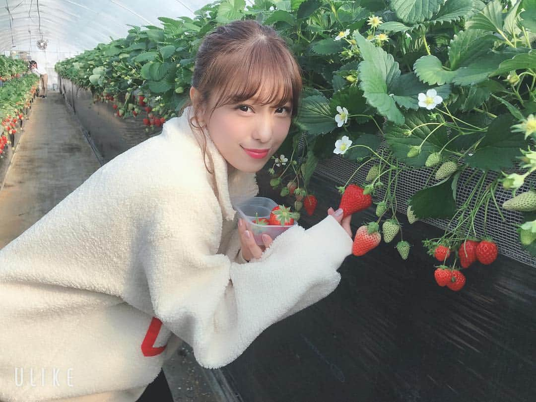 小嶋菜月さんのインスタグラム写真 - (小嶋菜月Instagram)「🍓🍓🍓」1月28日 20時36分 - kojimanatsuki_offical