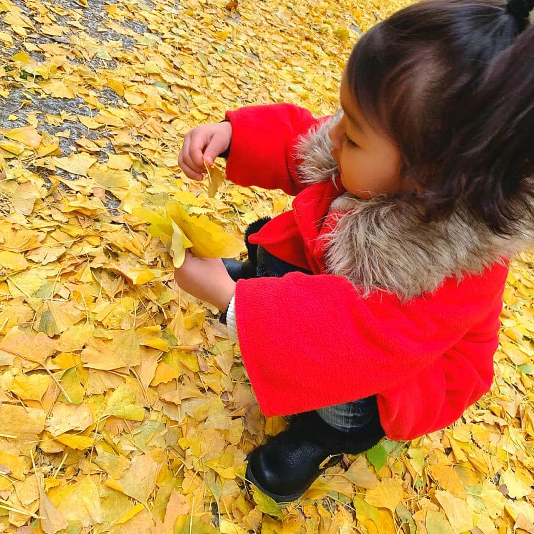 ゆん（並木優奈）さんのインスタグラム写真 - (ゆん（並木優奈）Instagram)「. . 前日の雨でびしょびしょのいちょうの葉を集めるりおな♥️笑 . . . . . . #riona」1月28日 23時37分 - yunaaaaa.x