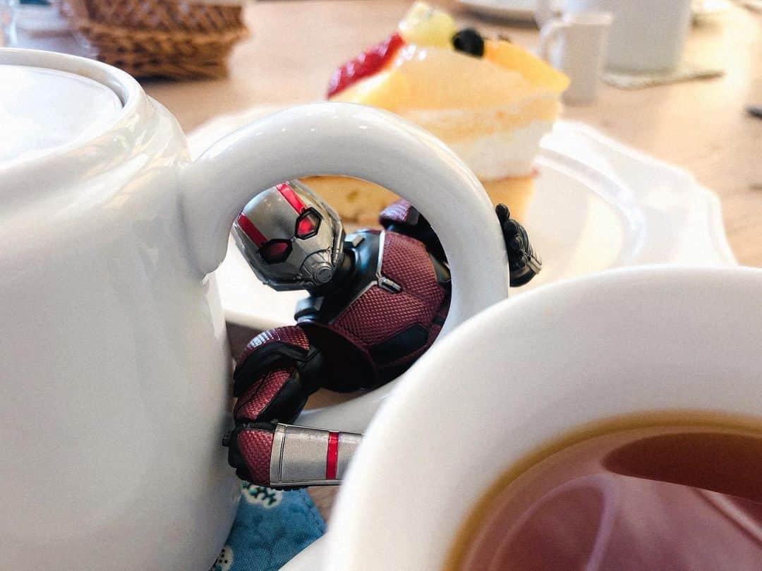 金子有希さんのインスタグラム写真 - (金子有希Instagram)「アントマンとカフェ」1月29日 21時19分 - antmanandme