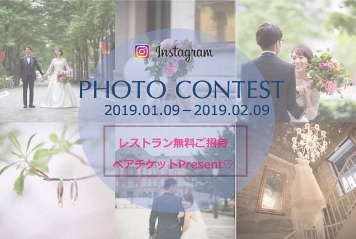 アンジェロコート東京??convivioのインスタグラム：「🌱2/9(土)まで🌱 . 【NewYearプレゼントキャンペーン🎁🎉】 . 2018年たくさんお世話になった皆様、2019年これからお世話になる皆様へ感謝の気持ちを込めて、NewYearキャンペーンを行っております✨ . 皆様の 📍アンジェロコート東京のお気に入りフォト をInstagramに投稿してステキなプレゼントをゲット🎁🎉 . 今回のプレゼントは… 【アンジェロコート東京の レストラン無料ご招待ペアチケット】 👏👏👏👏👏👏👏👏👏👏👏👏 . 抽選で合計3組6名様にプレゼント致します！ . ＊＊＊＊＊＊＊＊＊＊＊＊＊＊＊＊＊＊＊＊＊ . 🍀応募期間 1月9日(水)〜2月9日(土)23:59 . 🍀応募方法 ①撮影 下記のどちらかをお選びください！ a)アンジェロコート東京のお写真を📸 ウェディングの装飾はもちろん、レストランのお料理や会場やチャペルのお写真でもOK！ b)こちらの投稿をリグラムもしくはスクリーンショット . ②投稿 #アンジェロコート東京 #actフォトコンテスト この２つをつけて投稿！ . ③完了！ . 🍀抽選発表 2月中旬に当選した方へのみ、@angelocourt_tokyo アカウントよりDMにてご連絡差し上げます💌 . . ⚠️注意事項 アカウントが非公開設定になっているとこちらからの確認が出来ないため、キャンペーン参加中はあらかじめ公開設定にて投稿くださいませ😊 . 新年お年玉キャンペーンですのでぜひ皆様ふるってご応募ください！！ . ＊＊＊＊＊＊＊＊＊＊＊＊＊＊＊＊＊＊＊＊ . #アンジェロコート東京 #キャンペーン #キャンペーン応募 #キャンペーン実施中 #フォトコンテスト #写真好きな人と繋がりたい #結婚式準備 #結婚式準備記録  #式場探し #式場見学 #プレ花嫁 #卒花嫁  #卒花 #結婚式レポ #シチリア #花のある暮らし #angelocourttokyo #tokyo #campaign #present #photocontest #sicilia」