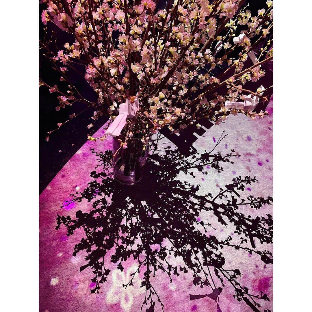 繁田美貴さんのインスタグラム写真 - (繁田美貴Instagram)「*＊ 『よじごじDays』をご覧下さった皆様 ありがとうございました！ #よじごじDays #今日の中継 は #flowersbynaked 2019からお送りしました。 #日本一早いお花見 とうたった #五感で楽しむイベント で、 #桜 をはじめとする #たくさんの #花々 で彩られた #美しい世界 が広がっていました♪ #COREDO室町1 で3/3まで開催です🌸」1月29日 23時31分 - handa_miki
