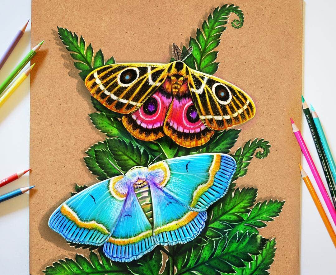 Morgan Davidsonのインスタグラム：「Fun colored pencil moth study! 💕🌿🦋I couldn’t find the paper I wanted so I drew it on the back of my sketch pad. 😂 Also, thank you all for the well wishes, I’m feeling much better and will be back to posting regularly! ❤️My print shop is being updated currently, so new phone cases, canvases and high quality art prints of my new pieces will be available soon!! (I’ll update you in my story!)」