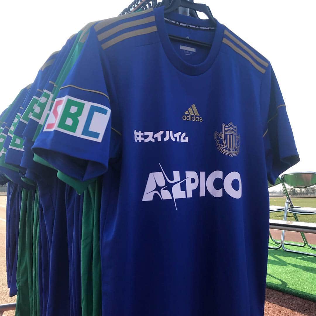 松本山雅fcさんのインスタグラム写真 松本山雅fcinstagram 19 Training Match Kit Debut Matsumotoyamaga Yamaga Adidas 今年のトレーニングマッチユニフォームは青 Onesoul 境界突破 1月30日 9時06分 Matsumoto Yamagafc