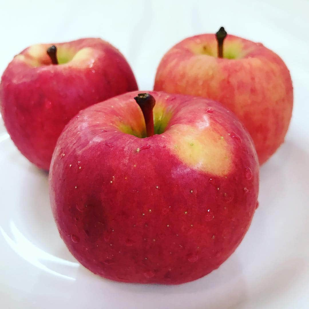 芦田桂子さんのインスタグラム写真 - (芦田桂子Instagram)「こみつ🍎 断面積の8割近くまで蜜が占める感動の美味しさ りんご好きにはたまらない❤️ ✴︎ #こみつ #高徳 #糖度14度以上  #蜜入り  #青森りんご  #apples  #私の美活は食べるだけ青森りんご  #一日一個のりんごは医者いらず  #芦田桂子」1月30日 10時04分 - keiko_ashida