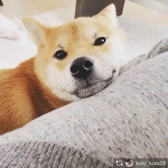 榊翔太