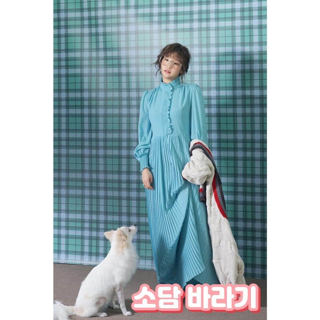 パク・ソダムさんのインスタグラム写真 - (パク・ソダムInstagram)「봉슉아 앞을 봐야지이이이...🐶🐶」1月30日 19時52分 - imsodamm