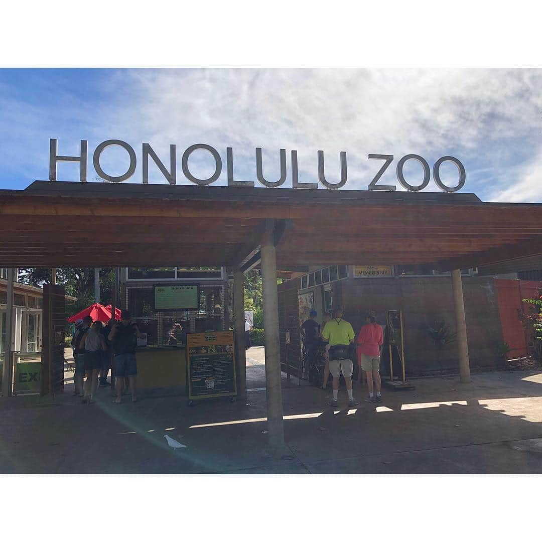 森麻季さんのインスタグラム写真 - (森麻季Instagram)「写真整理中 ハワイの思い出part?  #honoluluzoo  #ホノルル動物園  #なにげに初めて行きました  #象やトラとかはこの日おらず #見たかったな #キリンいたよ#シマウマいたよ #息子がわかるようになったらまた行こう #ハワイの思い出まだまだお付き合いください #生後8か月 #8monthsold  #ハワイ旅行 #家族旅行 #子連れハワイ #hawaii」1月30日 21時53分 - maki.mori_m