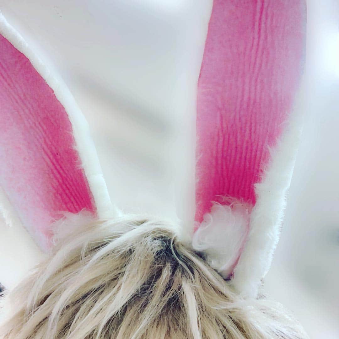 菊池修司のインスタグラム：「ウサ耳🐰」