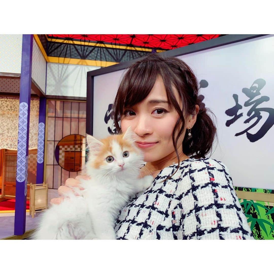 繁田美貴さんのインスタグラム写真 - (繁田美貴Instagram)「*＊ 今日1/30(水) 24:12〜放送の 『リトルトーキョーライフ』は、 Hey!Say!JUMPの皆さんによる質問道場☆ テーマは“猫ブームの裏側”です。 スタジオが、、天国です😍 ぜひご覧下さい！ #リトルトーキョーライフ #スタジオ に #猫 #ねこ #ネコ #🐈🐈🐈 #可愛すぎて。。んもぅ #メロメロ です💕」1月30日 23時33分 - handa_miki