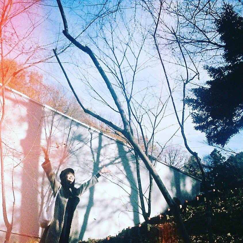 岡本夏美さんのインスタグラム写真 - (岡本夏美Instagram)「晴れろ〜 (祈) #film #natsufilm」1月31日 9時09分 - okamoto_natsumi