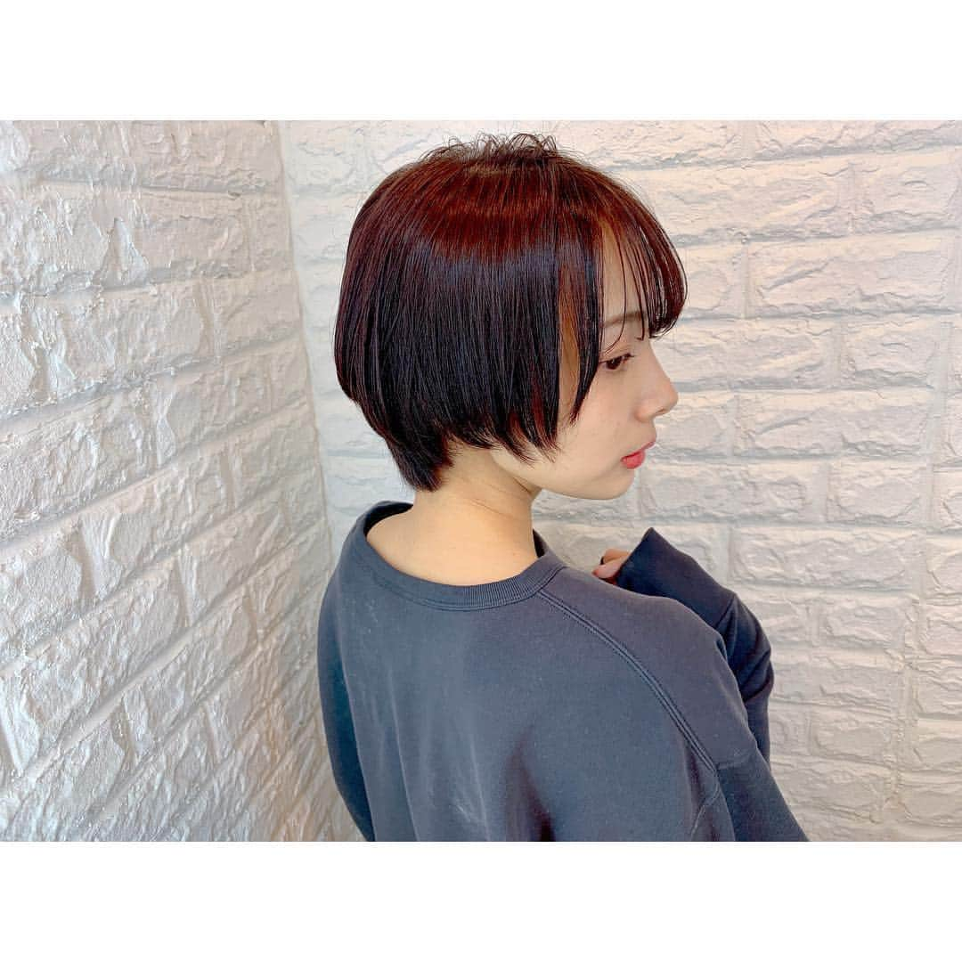 岡田紗佳さんのインスタグラム写真 - (岡田紗佳Instagram)「最新ヘアー💇‍♀️ @sasage_hair  #ショート #ショートヘア #hair」1月31日 18時40分 - sayaka_okada