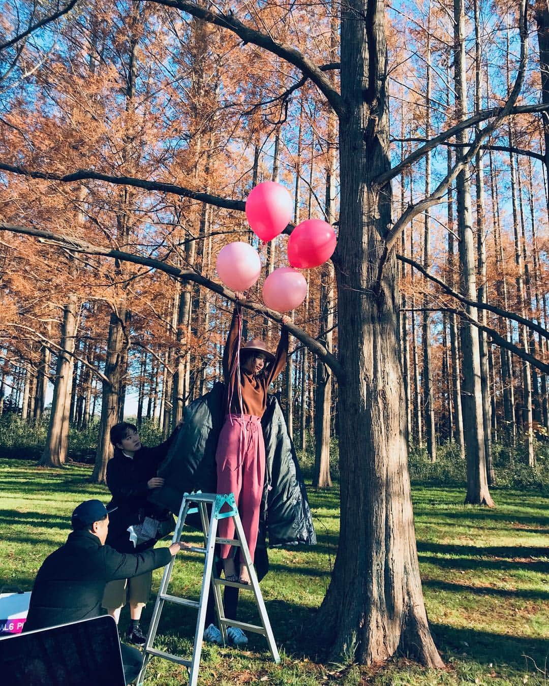 丹羽仁希さんのインスタグラム写真 - (丹羽仁希Instagram)「初めて木にぶら下がって撮影したとき🌳笑」1月31日 18時20分 - __niki22