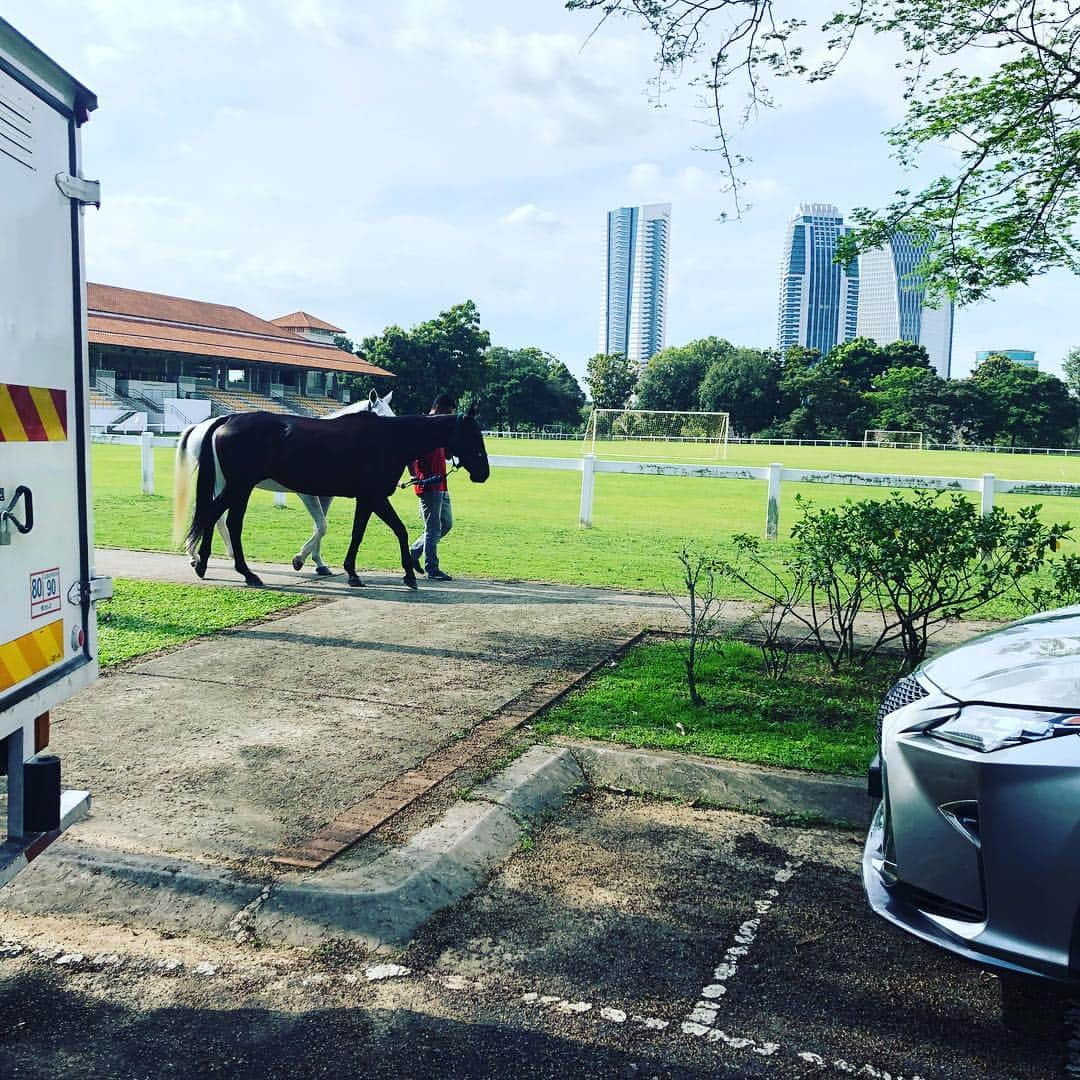 池田圭のインスタグラム：「ここが練習場その2です。周りをお馬さんが散歩したりジョギングしたりします。  #新婚夫婦が #結婚式に使う写真撮影してたよ #練習終わって高ぶったんだね #チームメイトが一緒にお祝いしよう #って行こうとしたよ #きっちり断られてたよ #俺なら断らないよ #その優しさ #チアゴ君ナイストライ」