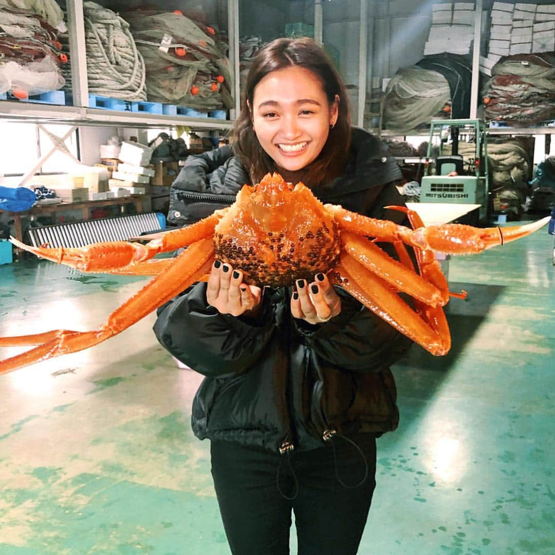 香川沙耶さんのインスタグラム写真 - (香川沙耶Instagram)「福井県に初めて来てます！🦀 よっくんが獲ってくれたカニさん、 感謝の気持ちを込めて美味しく頂きました😭🙏🏽❤️⛴ 漁師さんのお話しを聞く機会って本当にないから、 たくさんお勉強になりました！ どんな職業にせよ、ちゃんと裏側があって 色んな気持ちがあって、色んな理由があって 守るものがあって、誰かに守られている。 生きるってこいうことよね。 いつもと違う素敵な場所で美味しいご飯が食べれて、とても素敵な人たちに出会えて同じ時間いっしょに過ごせて、心から感謝ですね！ よっくん、ありがとうございました！ カニさんありがとう。 ご馳走さまでした😌🙏🏽 (さやちゃんカニさん大きくてビビってる) #五島水産 #越前がに  #snowcrab  @yokkun_g」2月1日 23時32分 - saya.kagawa